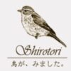 Shirotori